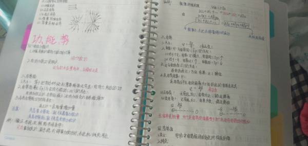 20200823合理安排，适度放松，不懈坚持1.jpg