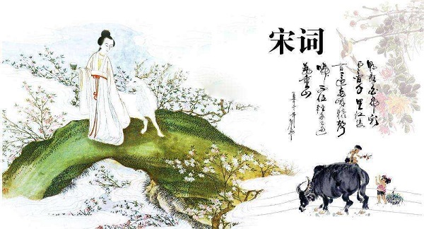 网络.jpeg
