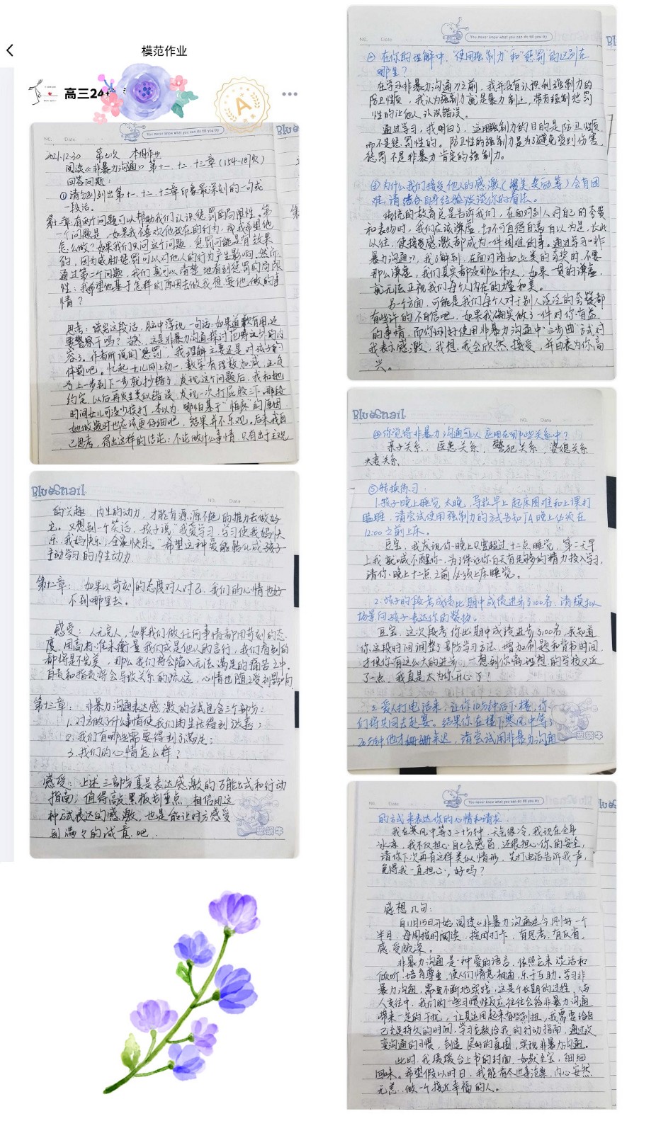 高三24刘雨凝.jpg