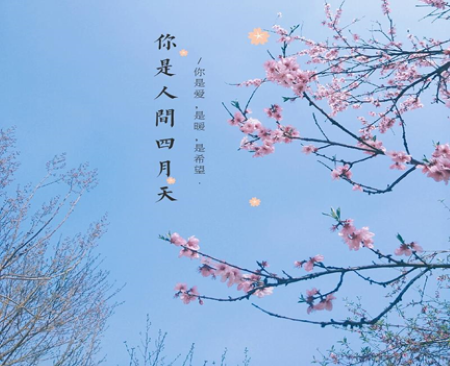 f29658bd7a300e3d1bd105b94310cb5.png