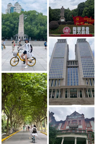 图片10.png