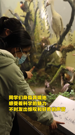 看展.PNG