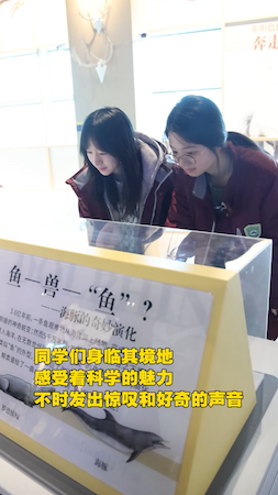 看展2.PNG
