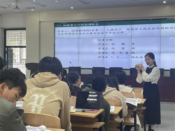 图片4.jpg