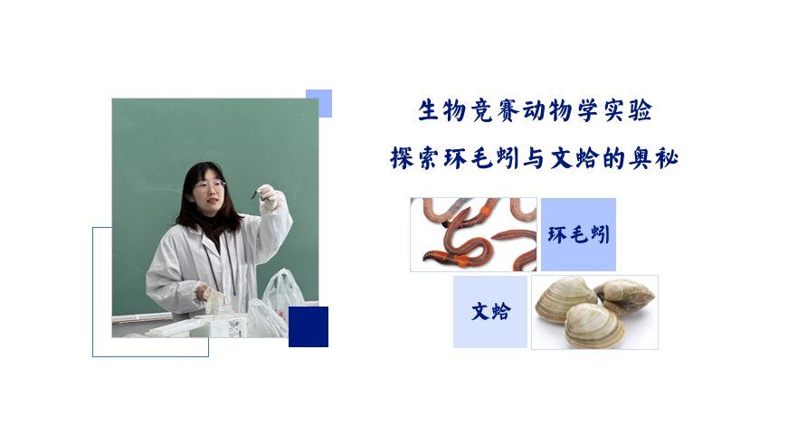 封面图.png