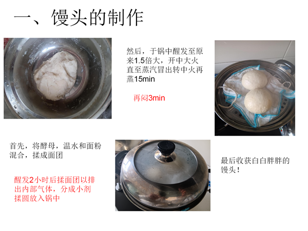 图11 高一（29）班陈欣苒 生物蒸馒头.png